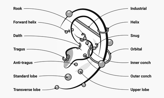 Piercing_Types_Ear